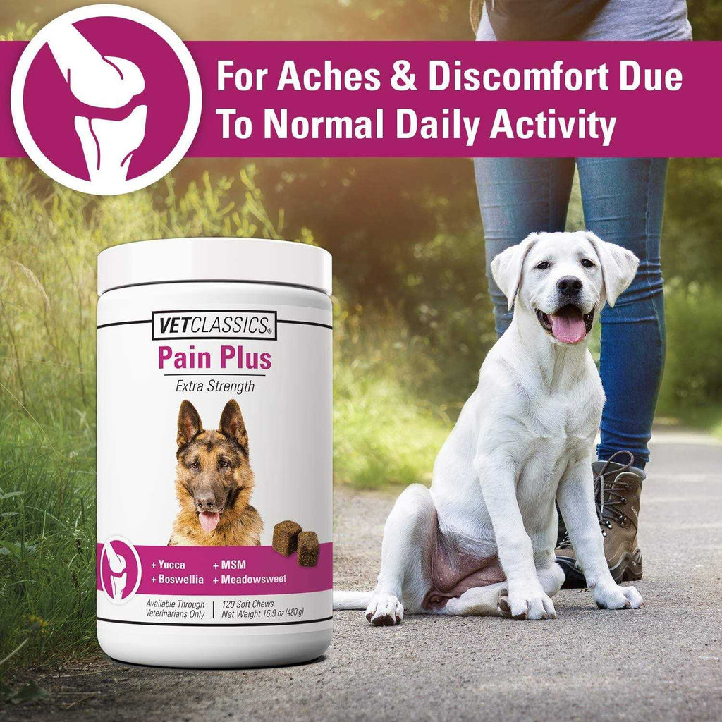Pain Plus for Dogs Q3788