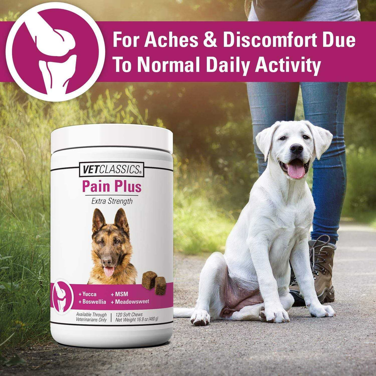 Pain Plus for Dogs Q3788