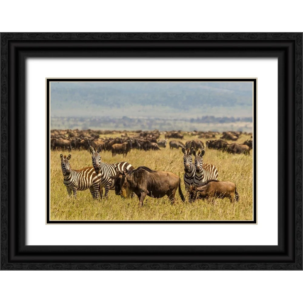 Black Ornate Wood Framed Art Print F439