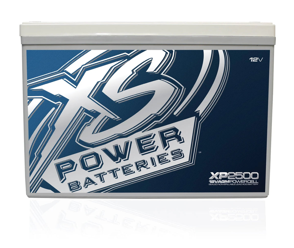 12V 2500 Amp AGM Battery B239874