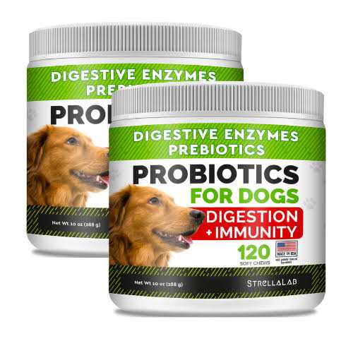 Probiotics for Dogs H2752