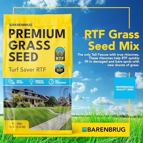 10 LB Tall Fescue Grass Seed A799198