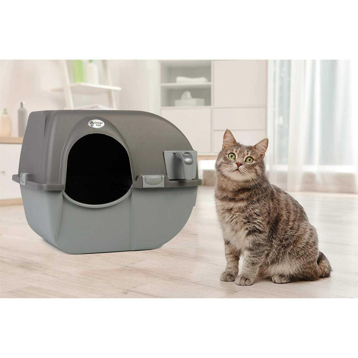 Self Cleaning Litter Box X3961