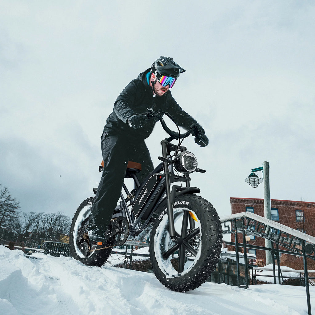 20" Fat Tire 7 Speed Electric Bike T363710