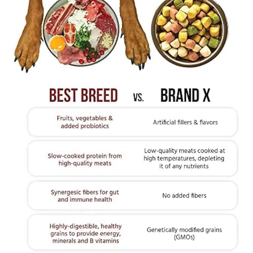 Large Breed Dry Dog Food W100432