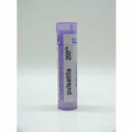 Pulsatilla 200CK 80 plts B6734