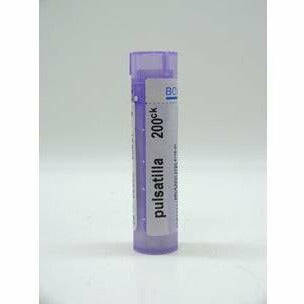 Pulsatilla 200CK 80 plts B6734