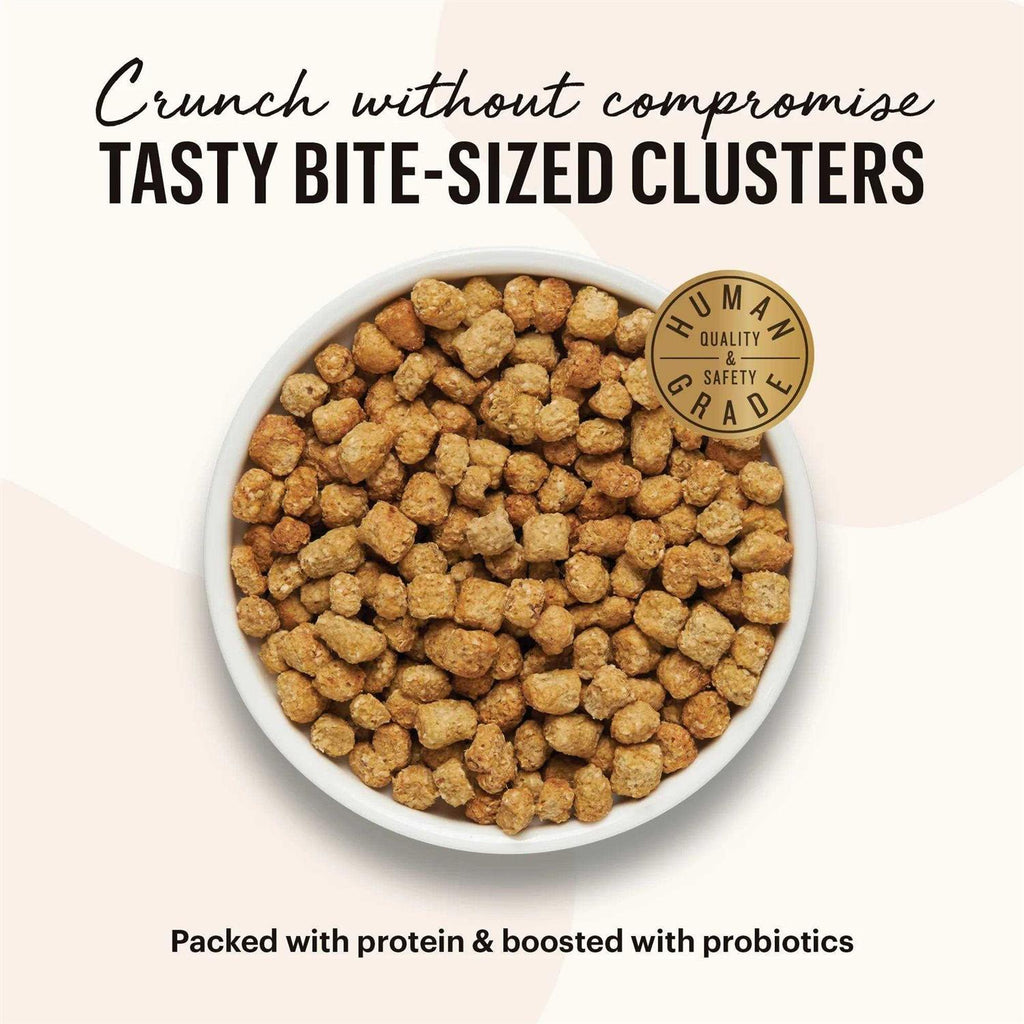 Grain-Free Chicken Fish Dry Cat Food H999