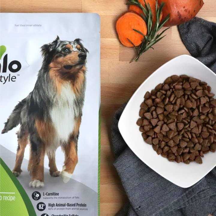 Grain-Free Trout & Sweet Potato Dry Dog Food N70056
