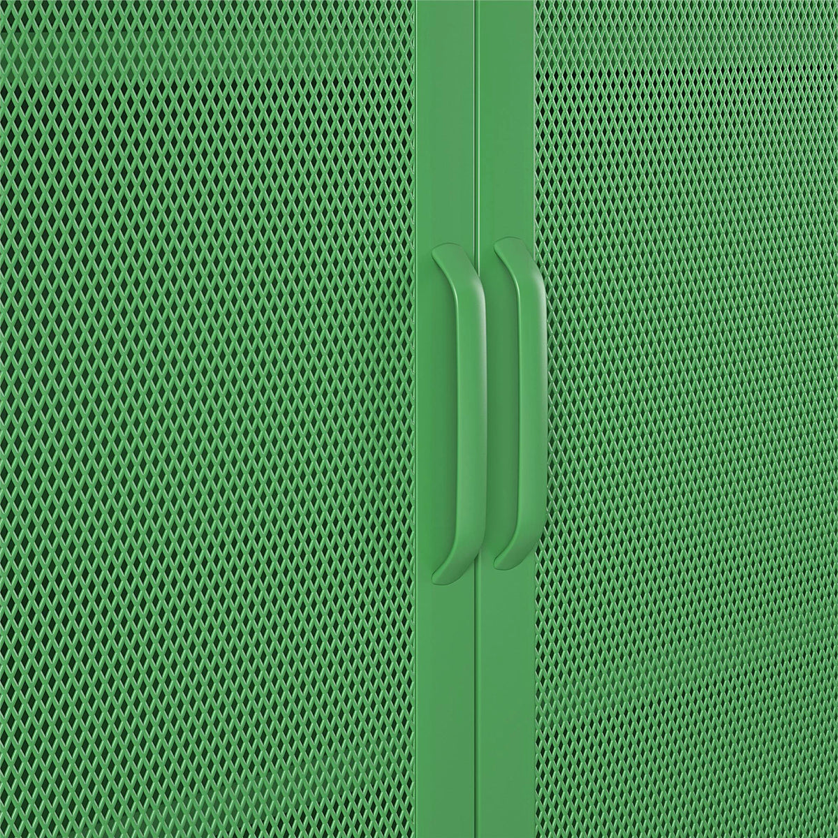 2 Door Accent Cabinet Q685