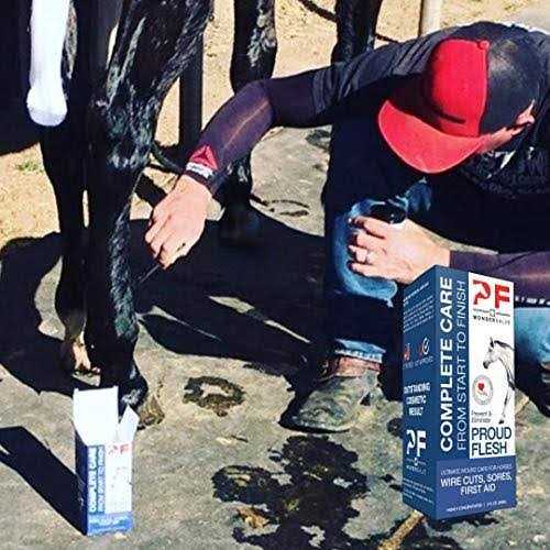 2 oz. Equine Wound Paste B49127