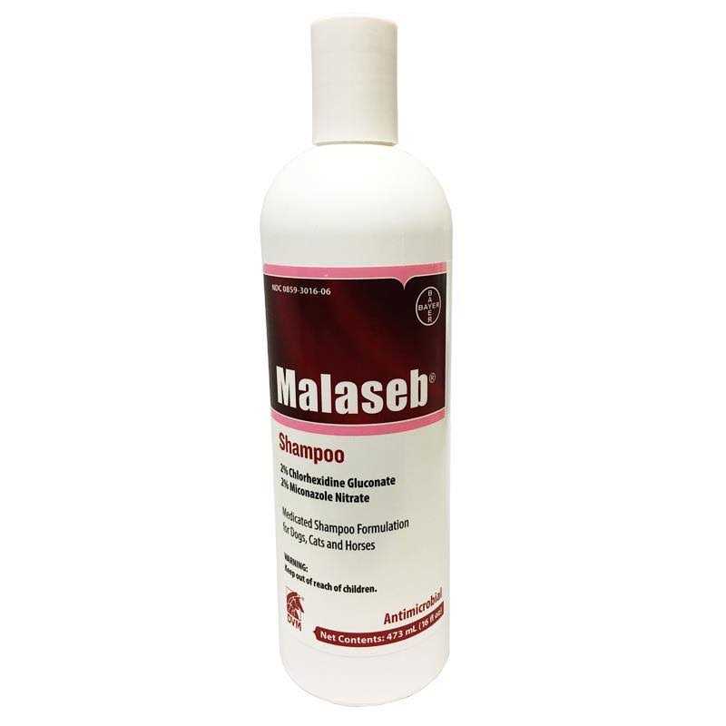 Shampoo 16 oz Y519