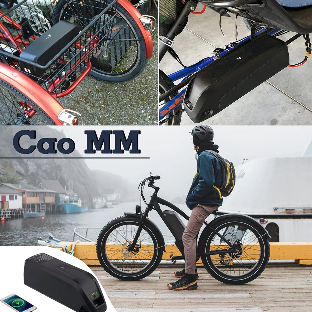 48V 20AH Lithium Ebike Battery with Charger L5020