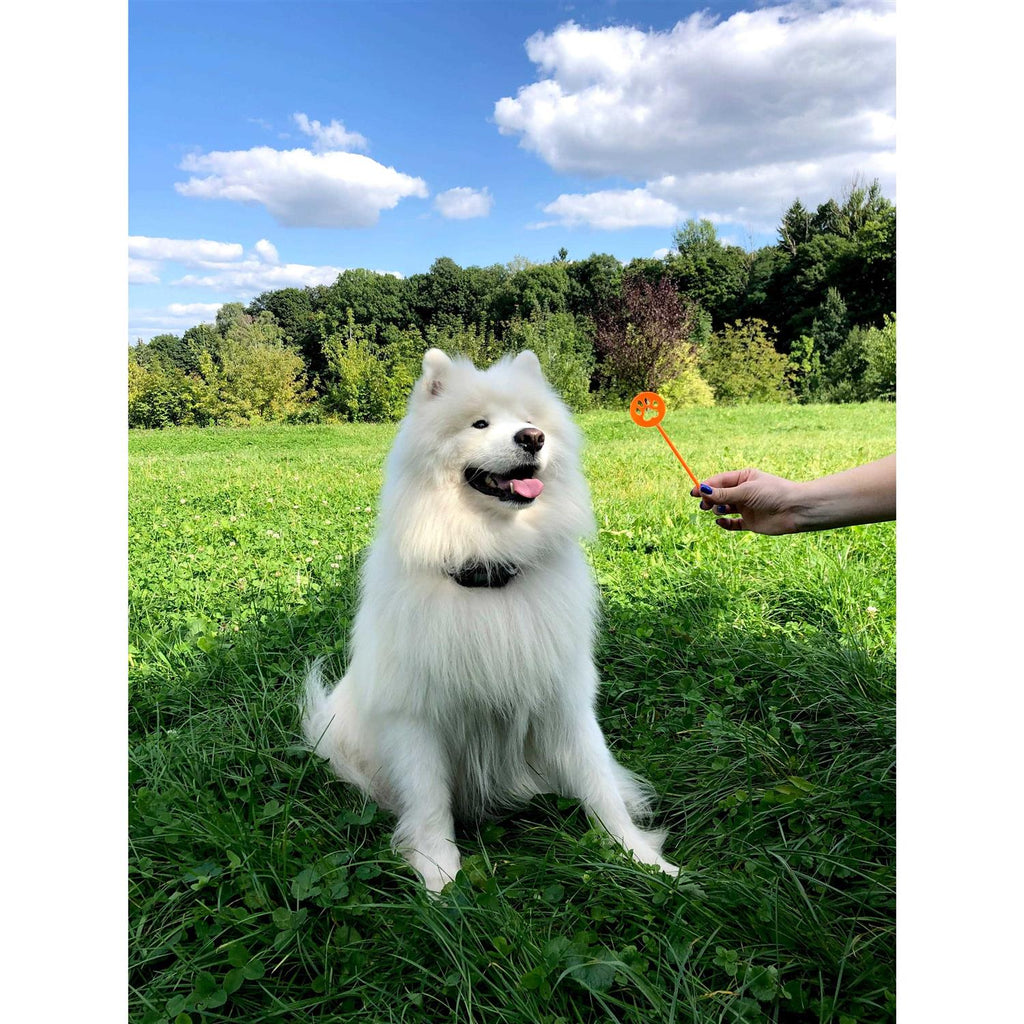 Wireless GPS Dog Fence T197