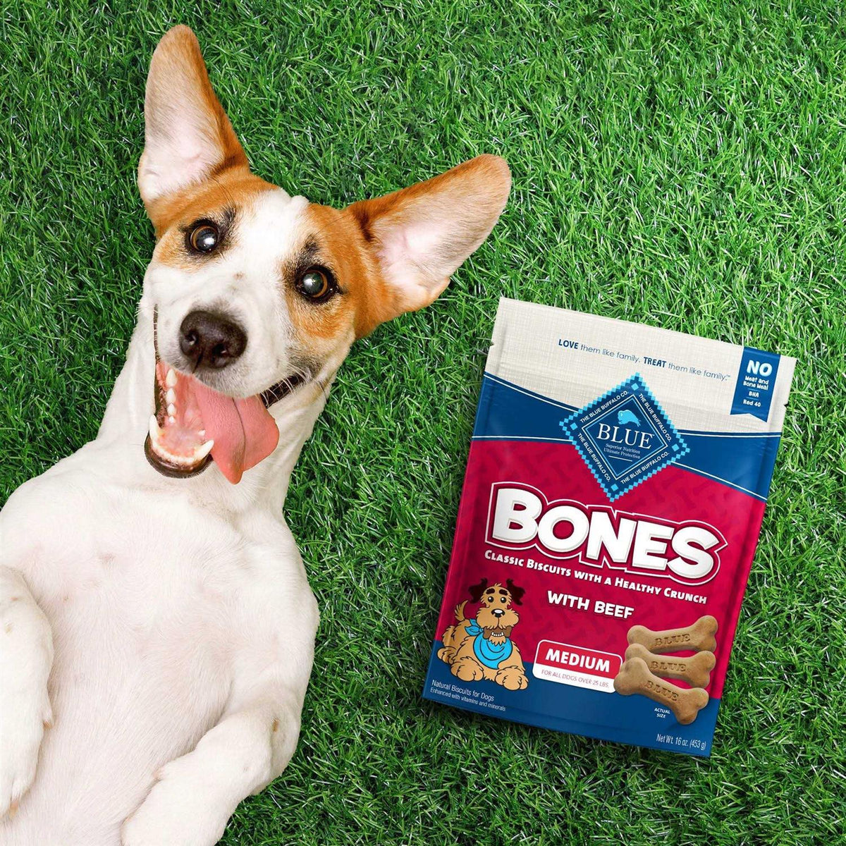 Pet Supplies X6172