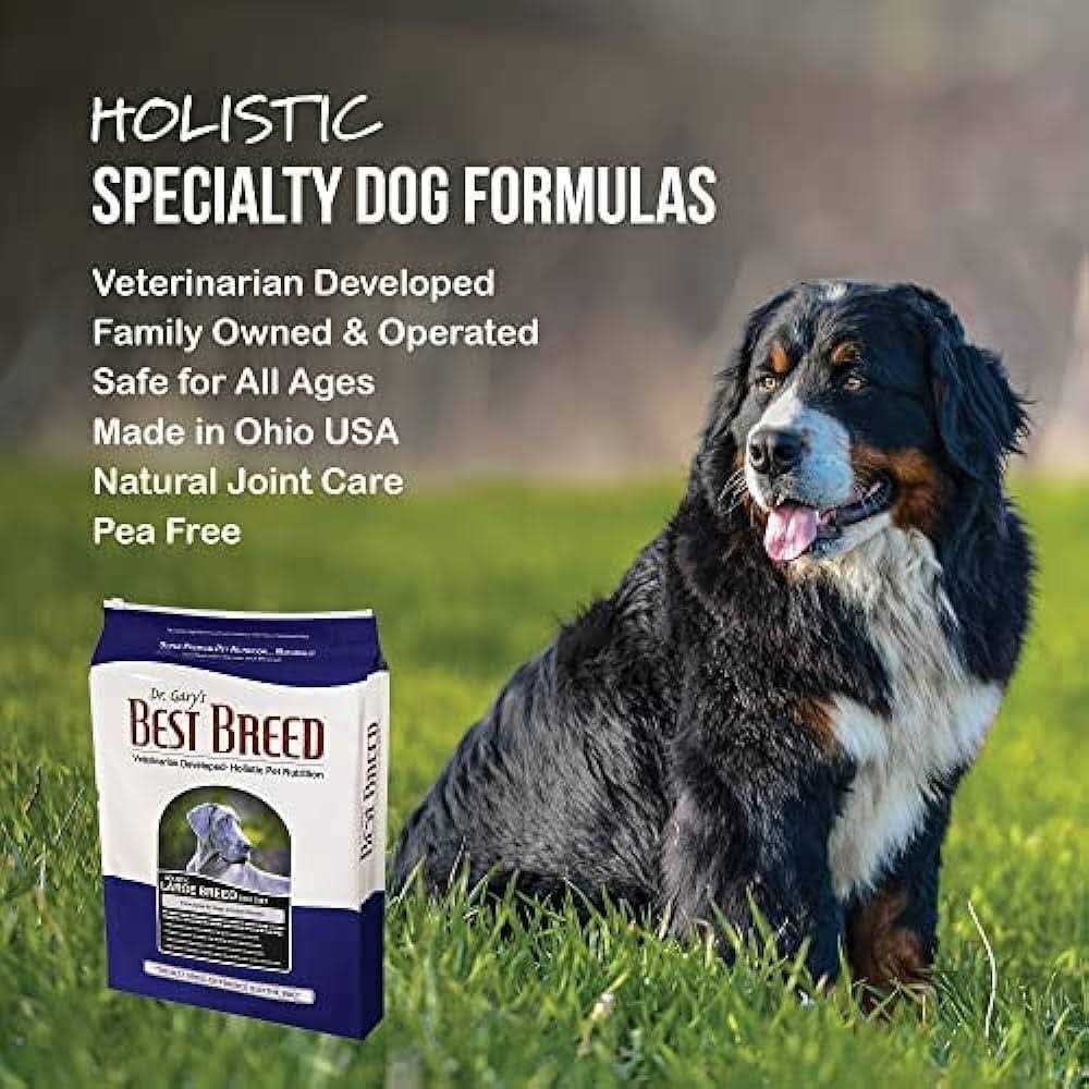 Large Breed Dry Dog Food W100432