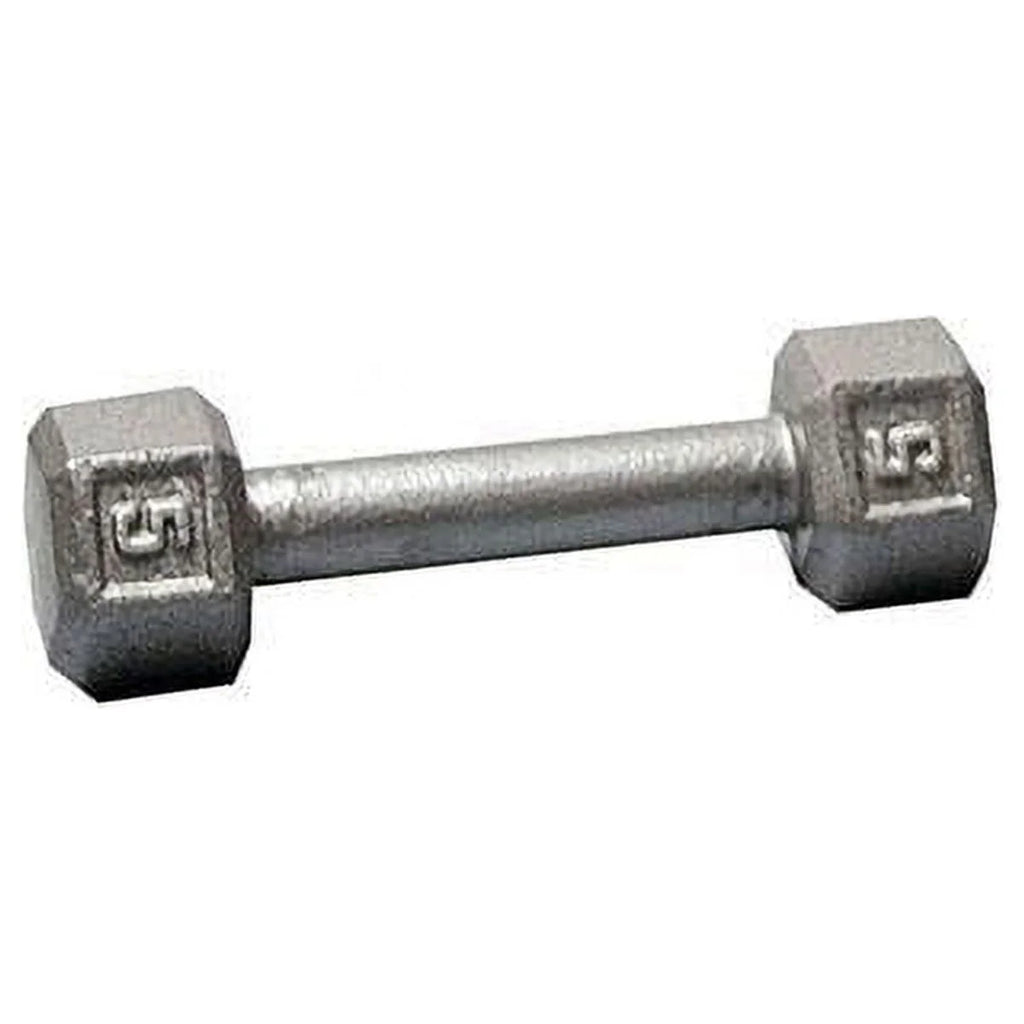 Cast Iron Hex Dumbbells 80 lb P49381