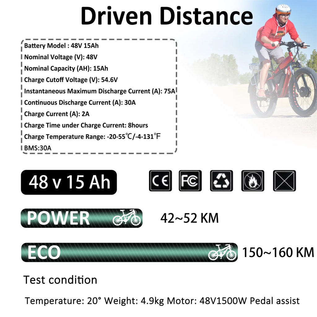 48V 20AH Lithium Ebike Battery with Charger L5020