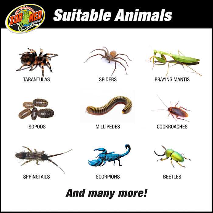 Creatures Habitat Kit U76370