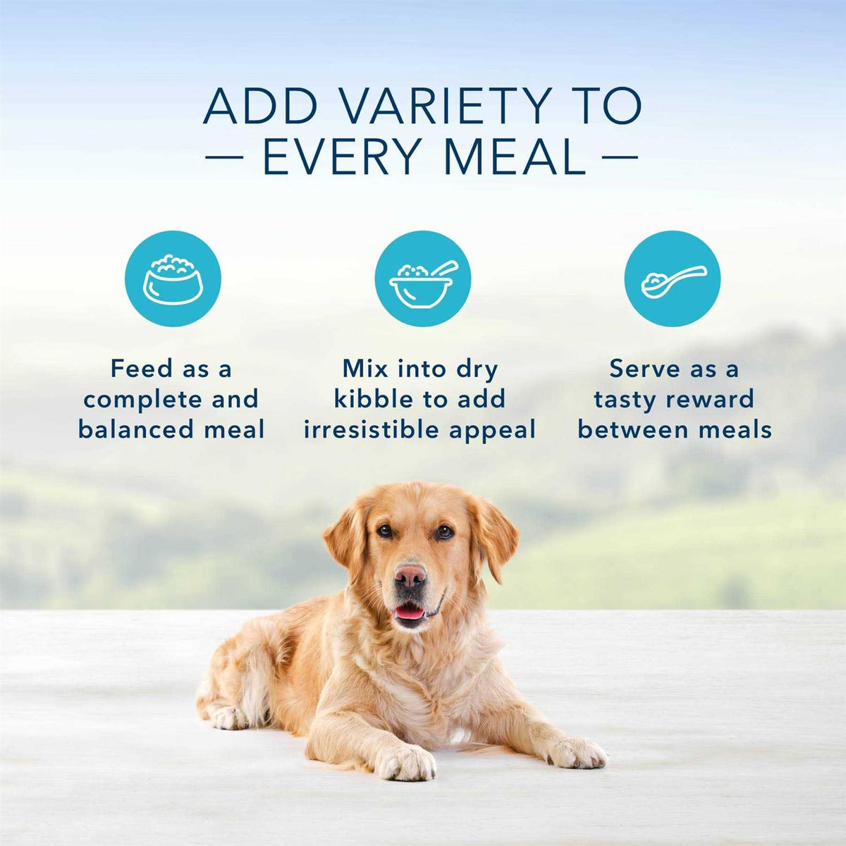 Dog Food X246303