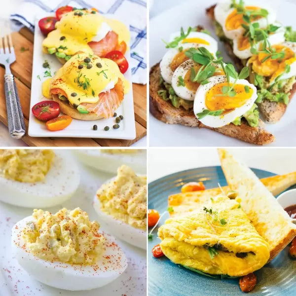 Electric 7 Egg Capacity Cooker with Auto Shut-Off BPA Free K21466