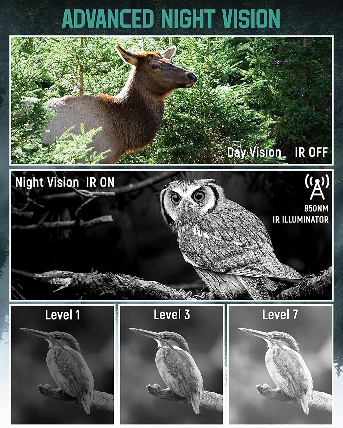 Night Vision Binoculars with 32GB Memory Card C95927