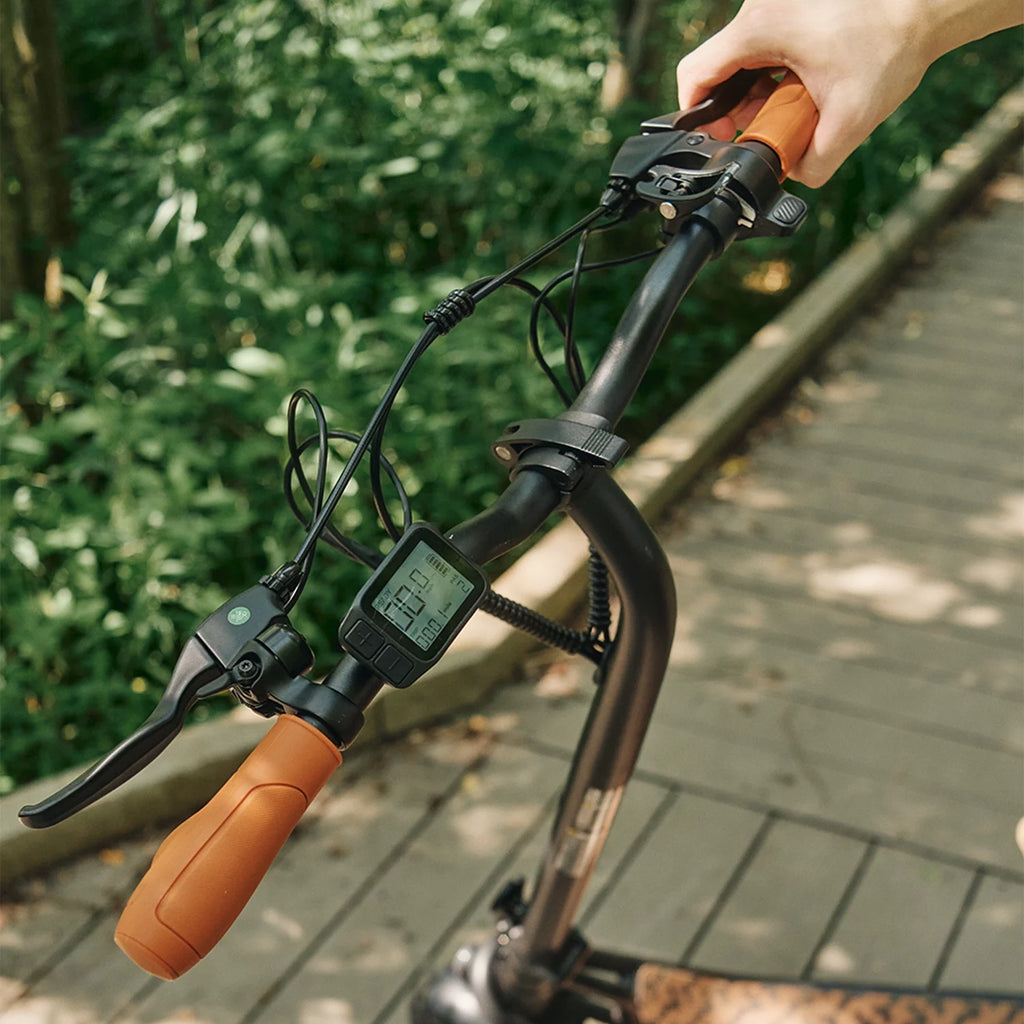 Electric Scooter D590775