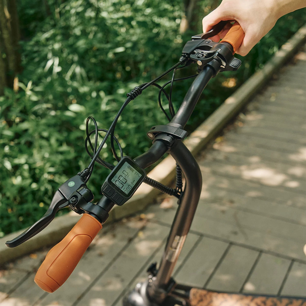 Electric Scooter D590775