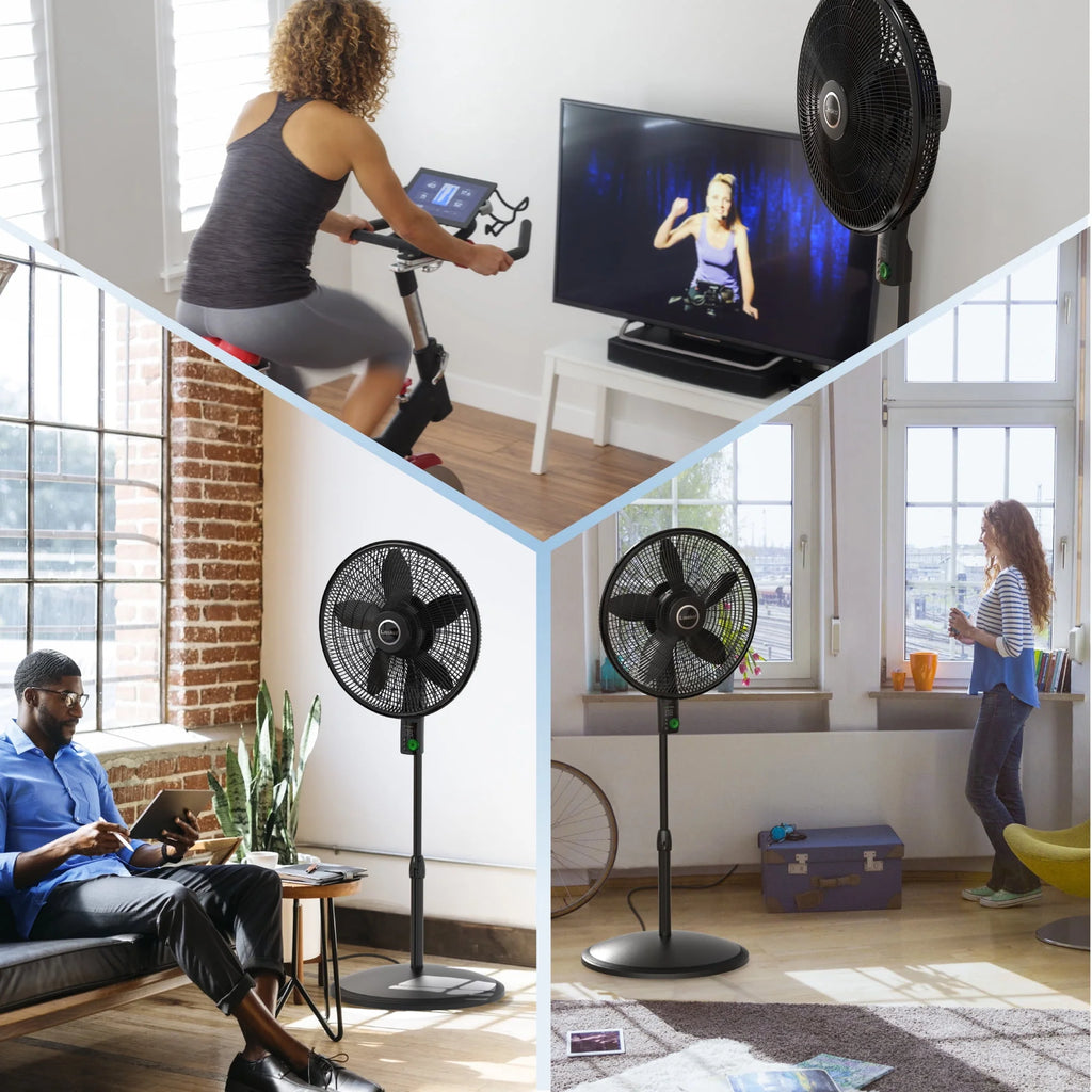 Black Pedestal Fan Q6912