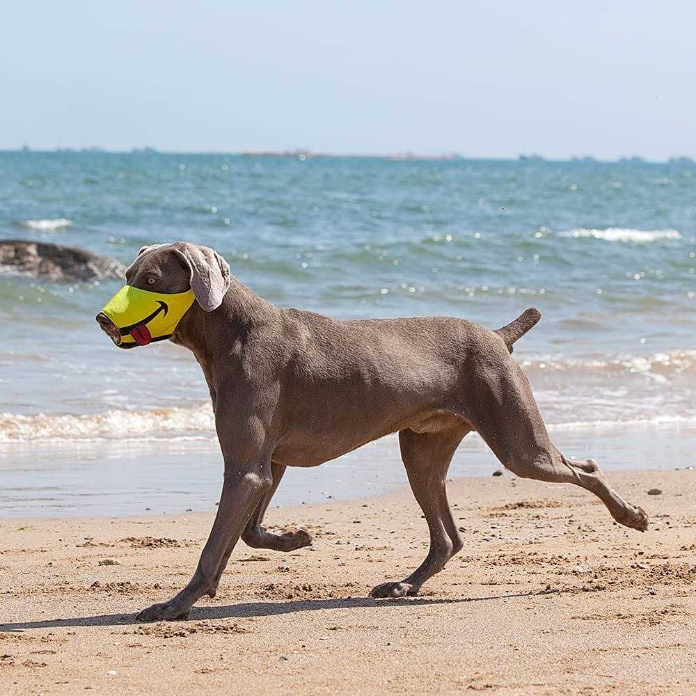Dog Muzzle with Soft Breathable Air Mesh Nylon M510