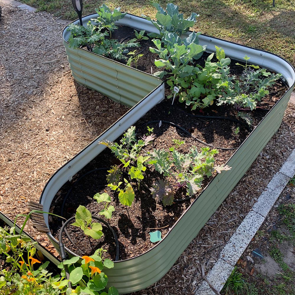 17" Tall L-Shaped Modular Corrugated Metal Raised Garden Beds G7849