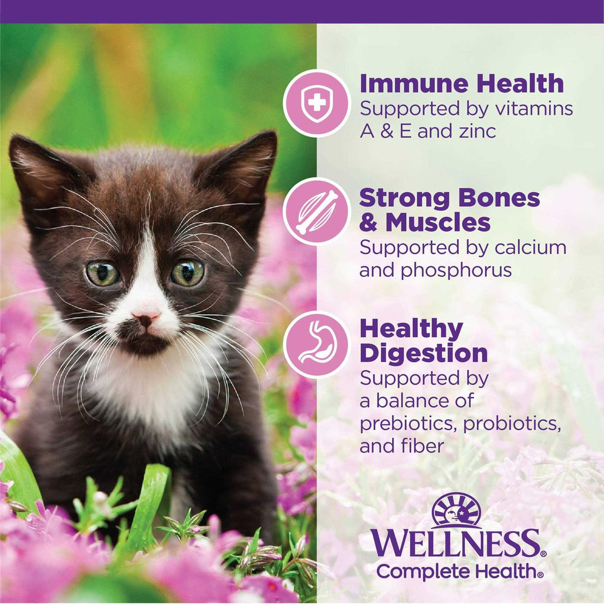 Chicken Dry Kitten Food B509