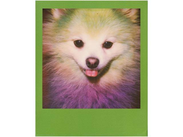 Instant Color Film 10 Pack Q6594