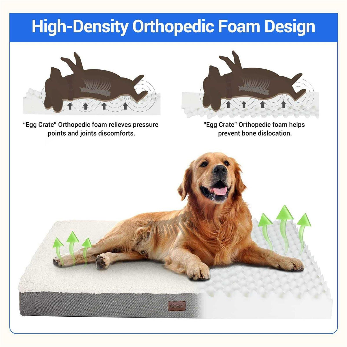 Orthopedic Dog Bed with Egg Foam and Non-Slip Bottom Z2605