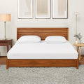 10 Inch Queen Cooling Gel Memory Foam Medium Firm Mattress E123