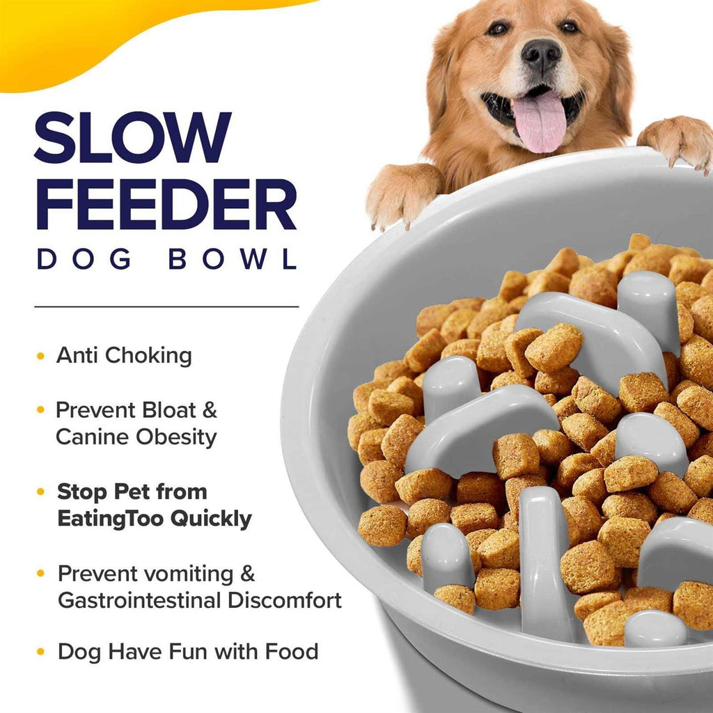 Metal Elevated Dog Bowls with Slow Feeder and Spillproof Mat H6244