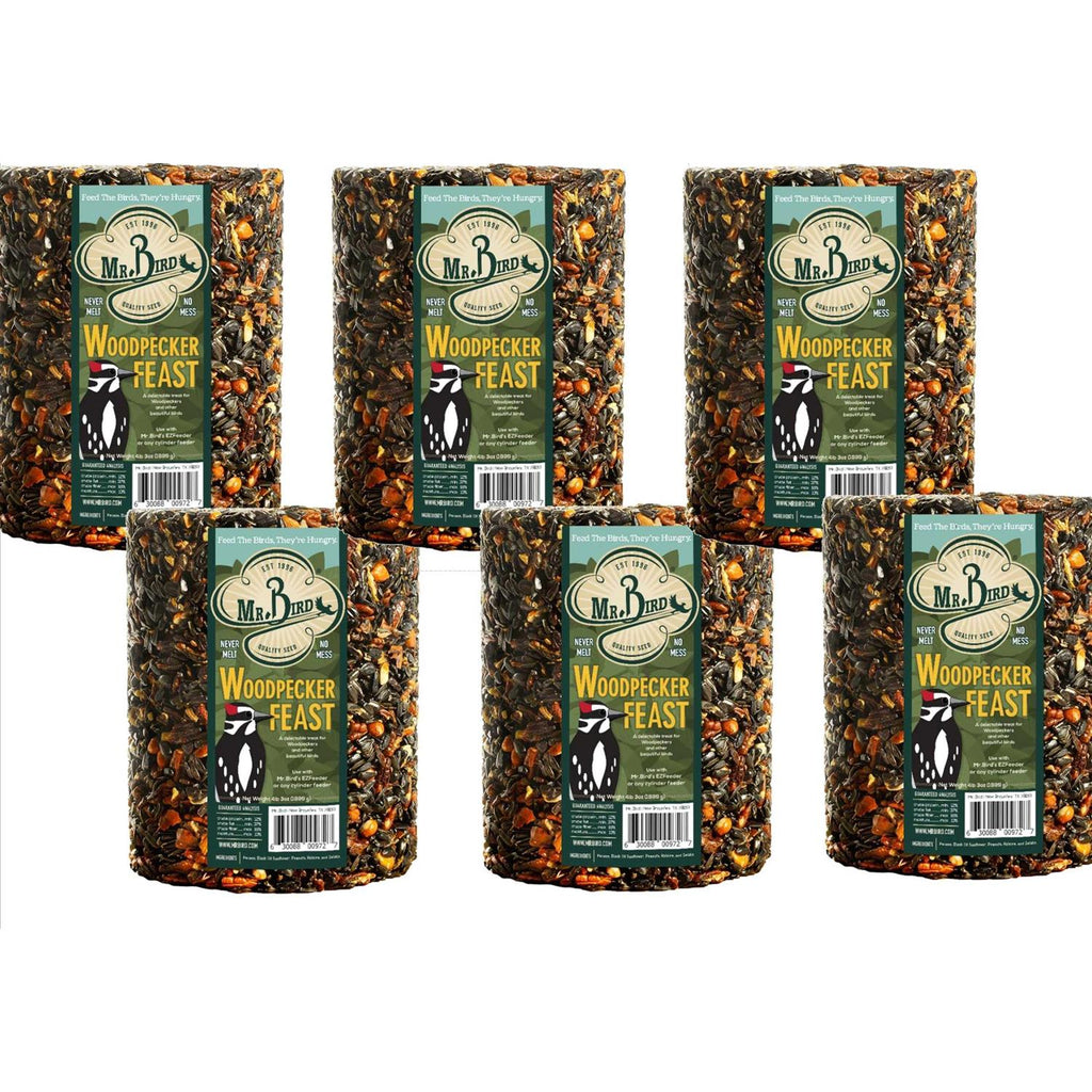 Woodpecker Feast Cylinder A94435