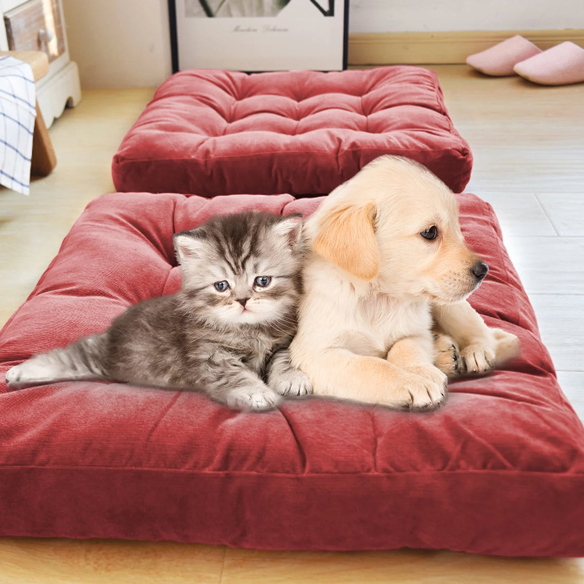 Rose Red 2 Pack 22" Large Floor Pillow Q190