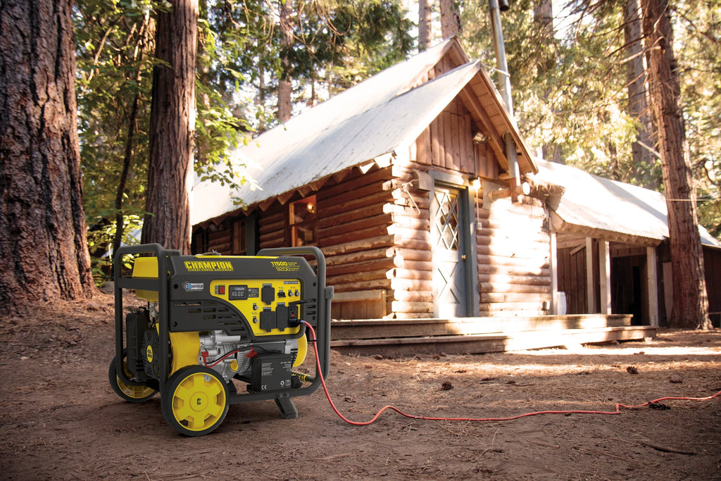 11,500/9,200-Watt Electric Start Gas Portable Generator D95119