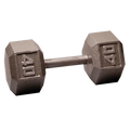 Cast Iron Hex Dumbbells 80 lb P49381
