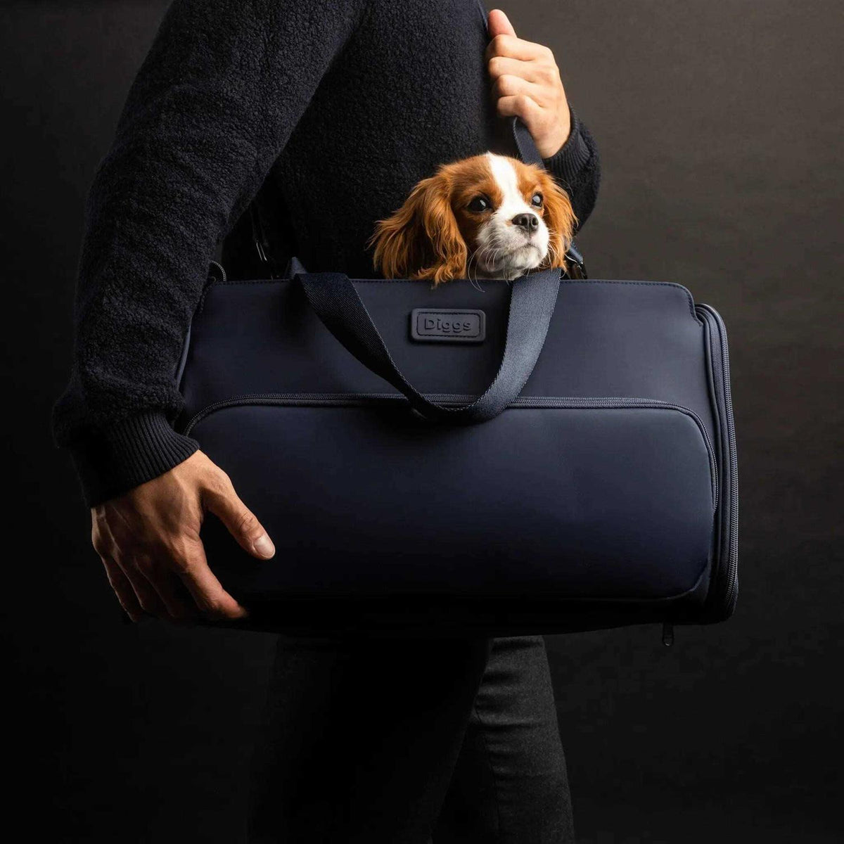 Travel Pet Carrier for Small Dogs and Cats T473