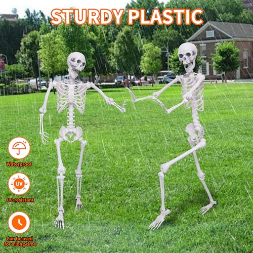 2 Pack 5.4Ft Posable Life Size Skeleton Decorations Y883368