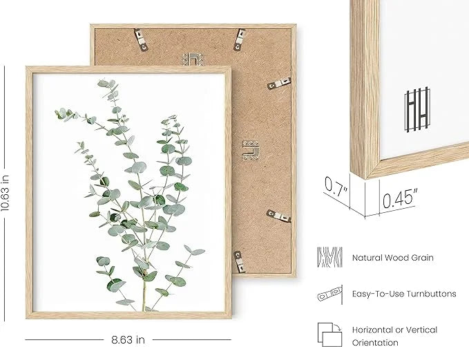 8"x10" Set of 4 Framed Botanical Prints R304