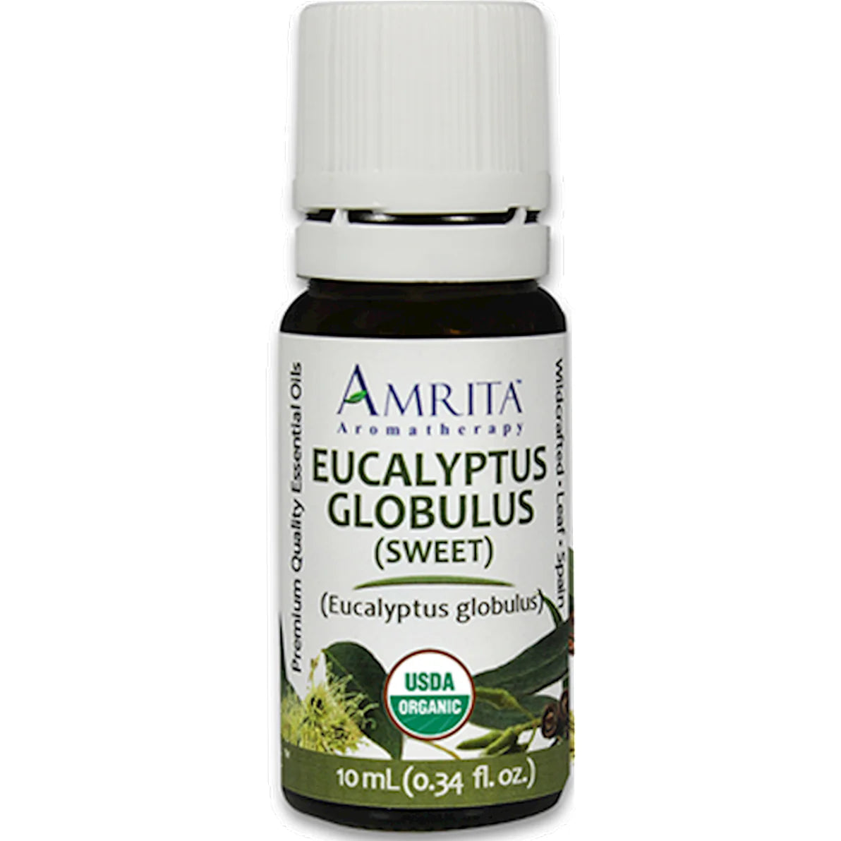 Eucalyptus 10 ml Q503251