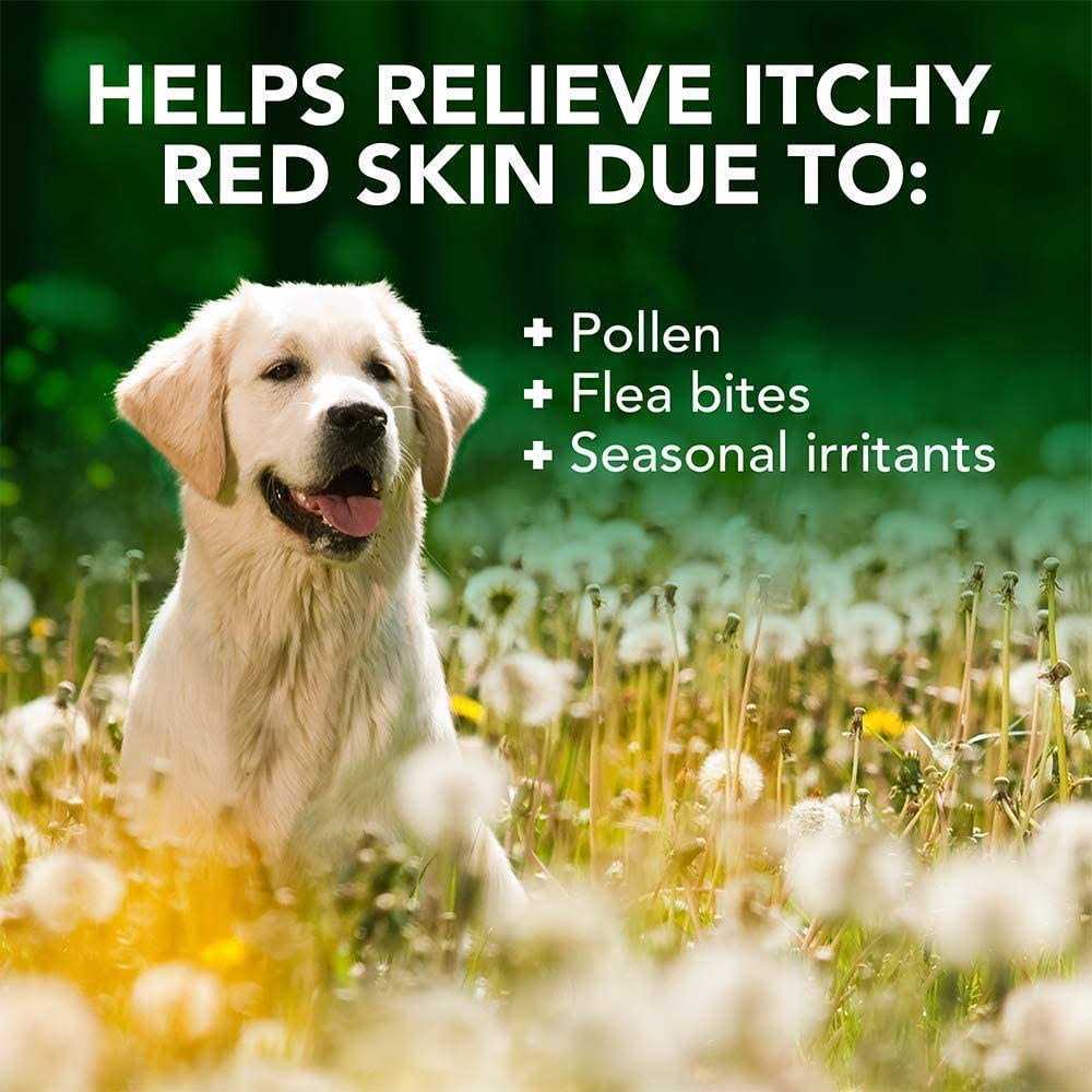 Allergy Itch Relief Shampoo N4255