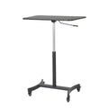 Adjustable Standing Desk Y17406
