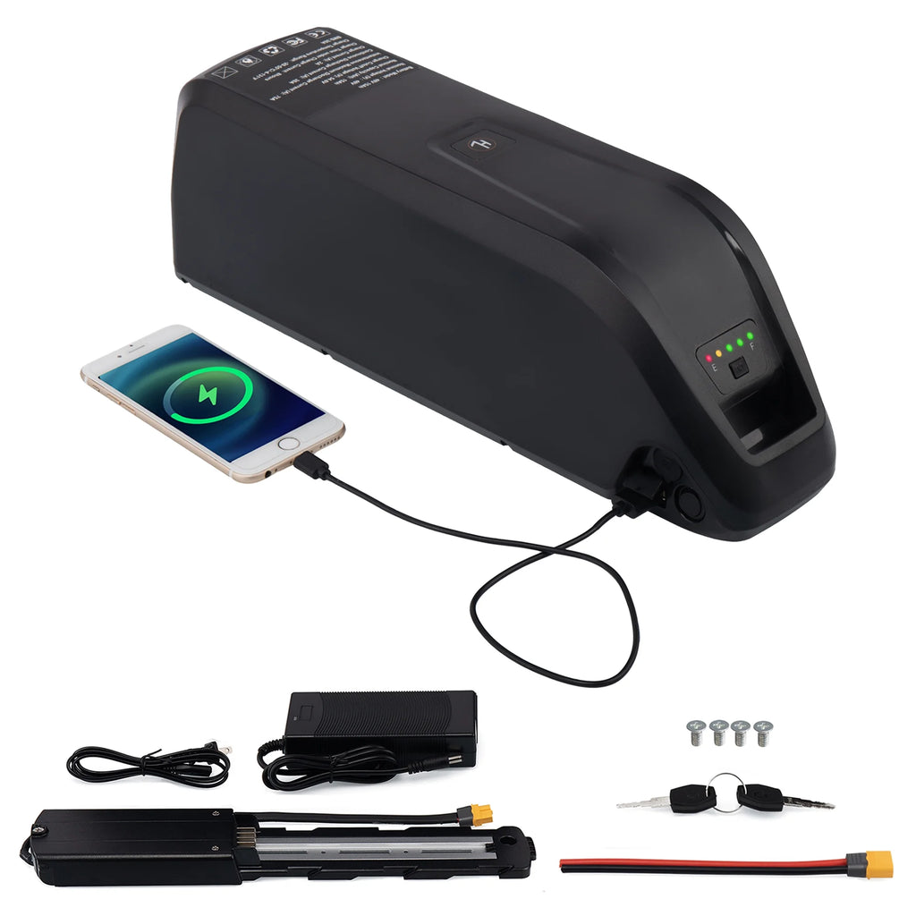 48V 20AH Lithium Ebike Battery with Charger L5020