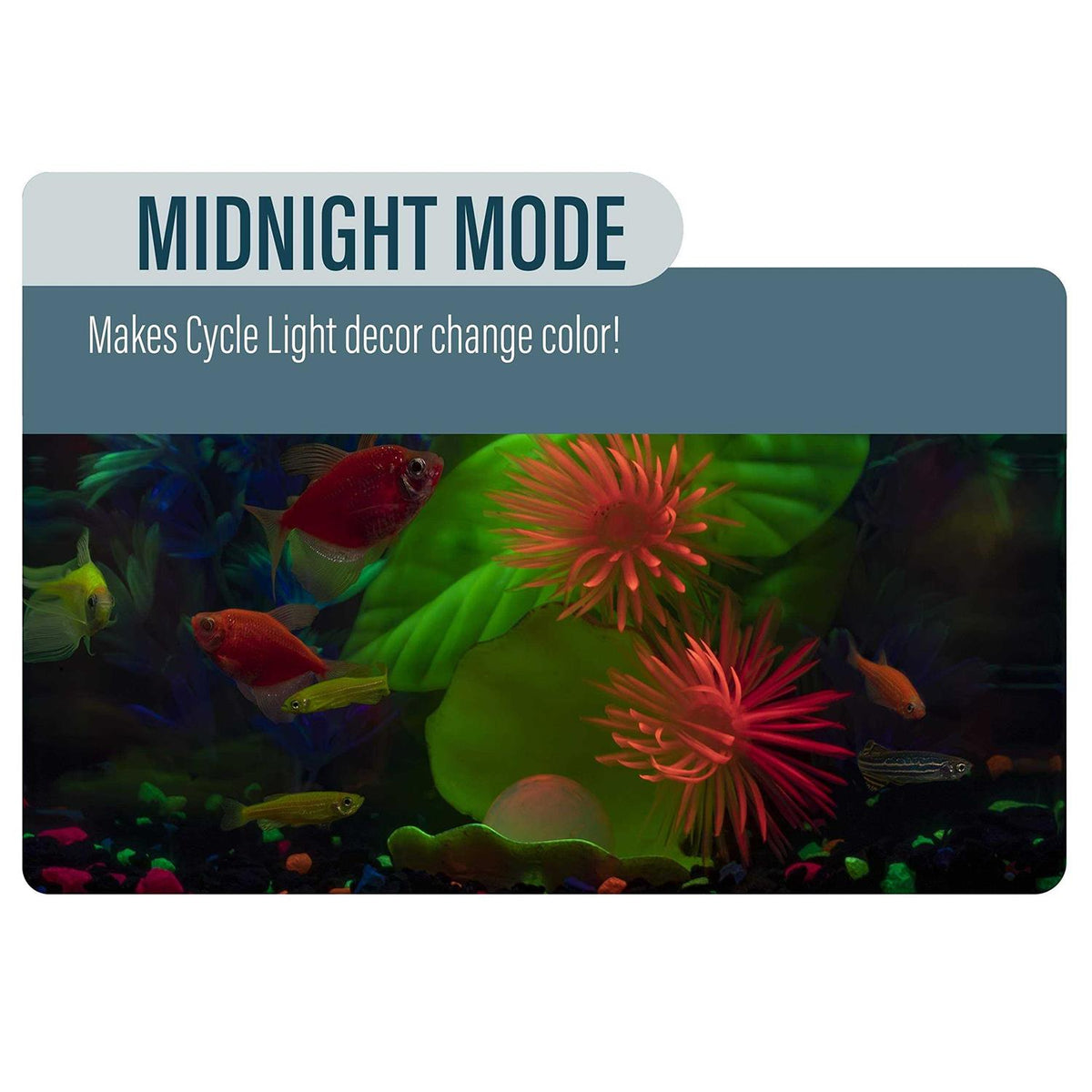 Aquarium Kit S310