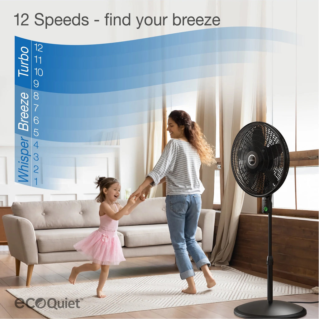 Black Pedestal Fan Q6912