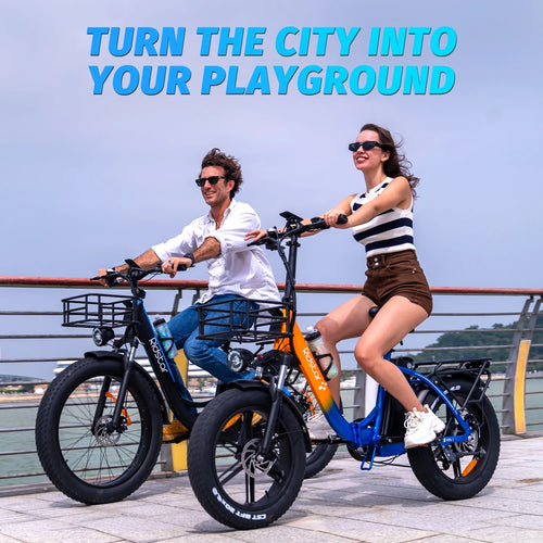 1000W 48V 15Ah Fat Tire Folding Electric Bike A692007
